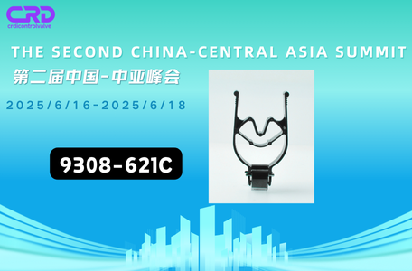 9308-621C: Honoring China and Central Asia's Light Path