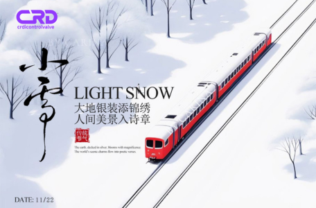  » Common Rail Injector Control Valve – Hot News