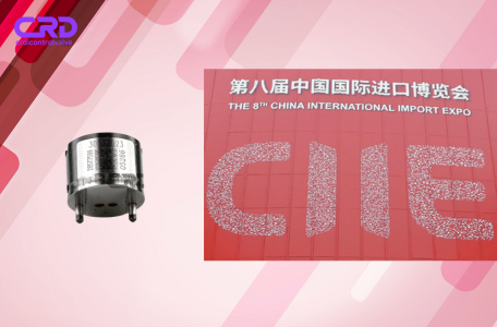  » Common Rail Injector Control Valve – Hot News