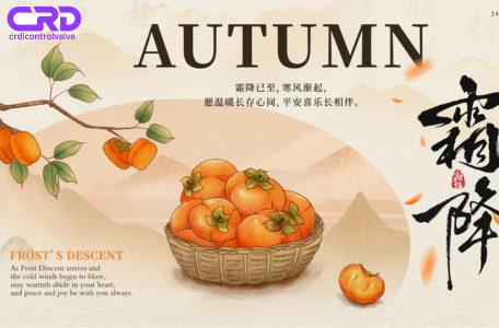  » Common Rail Injector Control Valve – Hot News